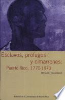 Esclavos profugos y cimarrones