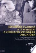 Estratègies d'atenció a la diversitat a l'educació secundària obligatòria[