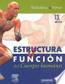Estructura y Funcion Cuerpo Humano
