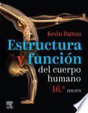 Estructura Y Función del Cuerpo Humano