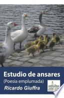 Estudio de Ansares