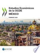 Estudios Económicos de la OCDE: México 2022