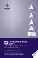 Etapa de Saneamiento Probatorio. La importancia de la regulación en el proceso ordinario laboral