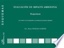 Evaluación de impacto ambiental. Esquemas