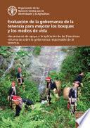 Evaluación de la gobernanza de la tenencia para mejorar los bosques y los medios de vida