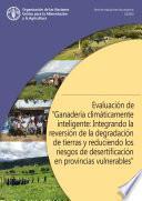 Evaluación de “Ganadería climáticamente inteligente: Integrando la reversión de la degradación de tierras y reduciendo los riesgos de desertificación en provincias vulnerables”