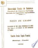 EVALUACION DE TRES LINEAS PROMISORIAS DE ARROZ (Oryza Sativa, L.) EN FUNCION DE CINCO DENSIDADES DE SIEMBRA