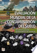 Evaluación mundial de la contaminación del suelo