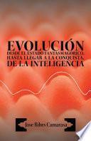 Evolución Desde El Estado Fantasmagórico, Hasta Llegar a La Conquista, De La Inteligencia