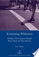 Examining Whiteness