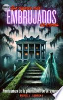 Fantasmas de la plantación de arrayanes