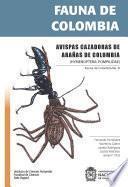 Fauna de Colombia: Avispas cazadoras de arañas de Colombia