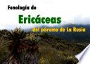 Fenología de ericáceas del páramo de La Rusia