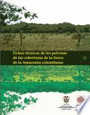 Fichas técnicas de los patrones de las coberturas de la tierra de la Amazonia colombiana