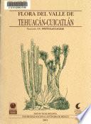 Flora del valle de Tehuacán-Cuicatlán