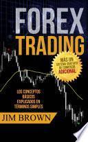 Forex Trading: Los conceptos básicos explicados en términos simples