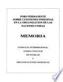 Foro permanente sobre cuestiones indigenas en la organizacion de las Naciones Unidas