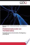 Fototransducción en Vertebrados