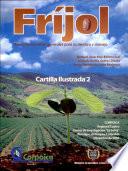 Frijol