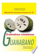Fruticultura colombiana: Guanábano