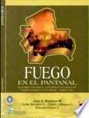 Fuego en el Pantanal