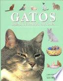 Gatos. Razas, Cuidados, Historia