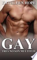 Gay: Tres no son multitud