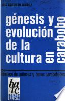 Génesis y evolución de la cultura en Carabobo