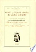 Génesis y evolución histórica del apellido en España
