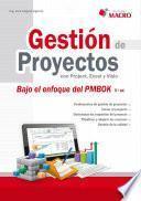 Gestión de proyectos con Project, Excel y Visio (Bajo enfoque PMBOK 5ta. Ed. )