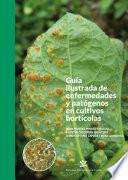 Guía ilustrad de enfermedades y patógenos en cultivos hortícolas