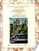 Guía para el cultivo, aprovechamiento y conservación del laurel de cera, Myrica pubescens H. & B. ex Willdenow