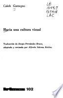 Hacia una cultura visual