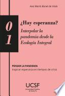 ¿Hay esperanza? Interpelar la pandemia desde la Ecología Integral
