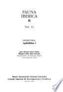Hemiptera