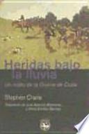 Heridas bajo la lluvia