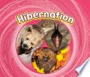 Hibernation