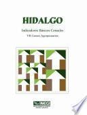 Hidalgo. Indicadores básicos censales. VII Censos Agropecuarios, 1991