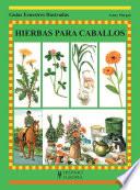 Hierbas para caballos