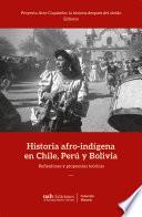 Historia afro-indígena en Chile, Perú y Bolivia