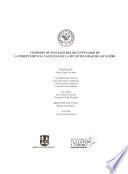 Historia de la arquitectura del Paraguay, 1537-1911