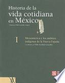 Historia de la vida cotidiana en México