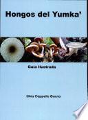 Hongos del Yumka: Guia ilustrada