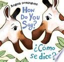 How Do You Say? / ¿Cómo Se Dice? (Spanish bilingual)