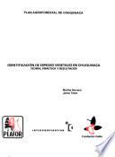 Identificación de especies vegetales en Chuquisaca