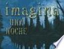 Imagina una noche