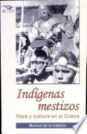 Indígenas mestizos