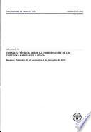 Informe. Consulta Tecnica sobre la Conservacion de las Tortugas Marinas y la Pesca.