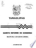 Informe de gobierno