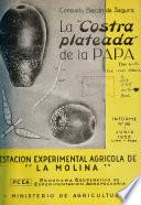 Informe